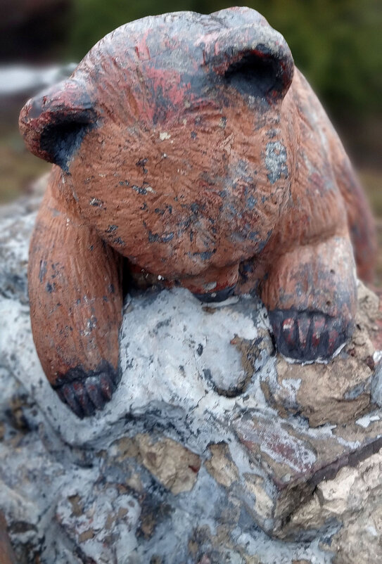 Медвежонок - Радмир Арсеньев Медвежонок - Радмир Арсеньев