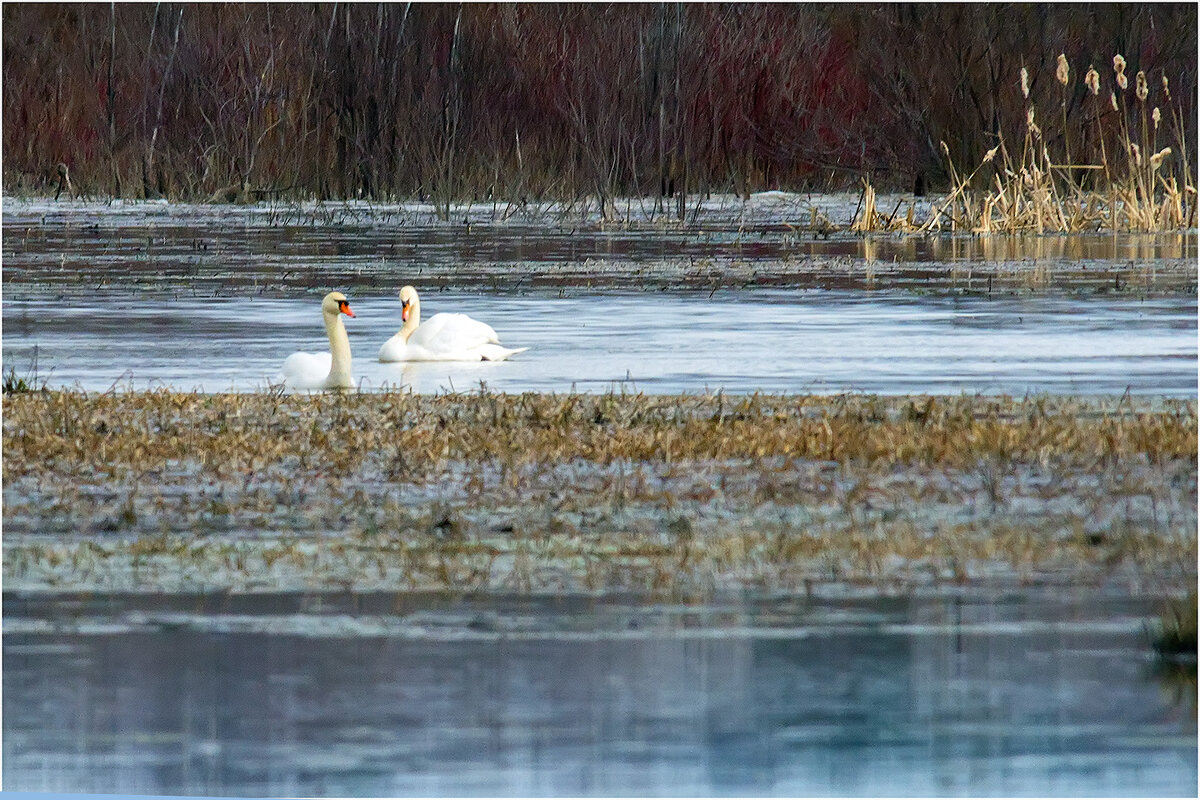 Верность - Валентин Котляров