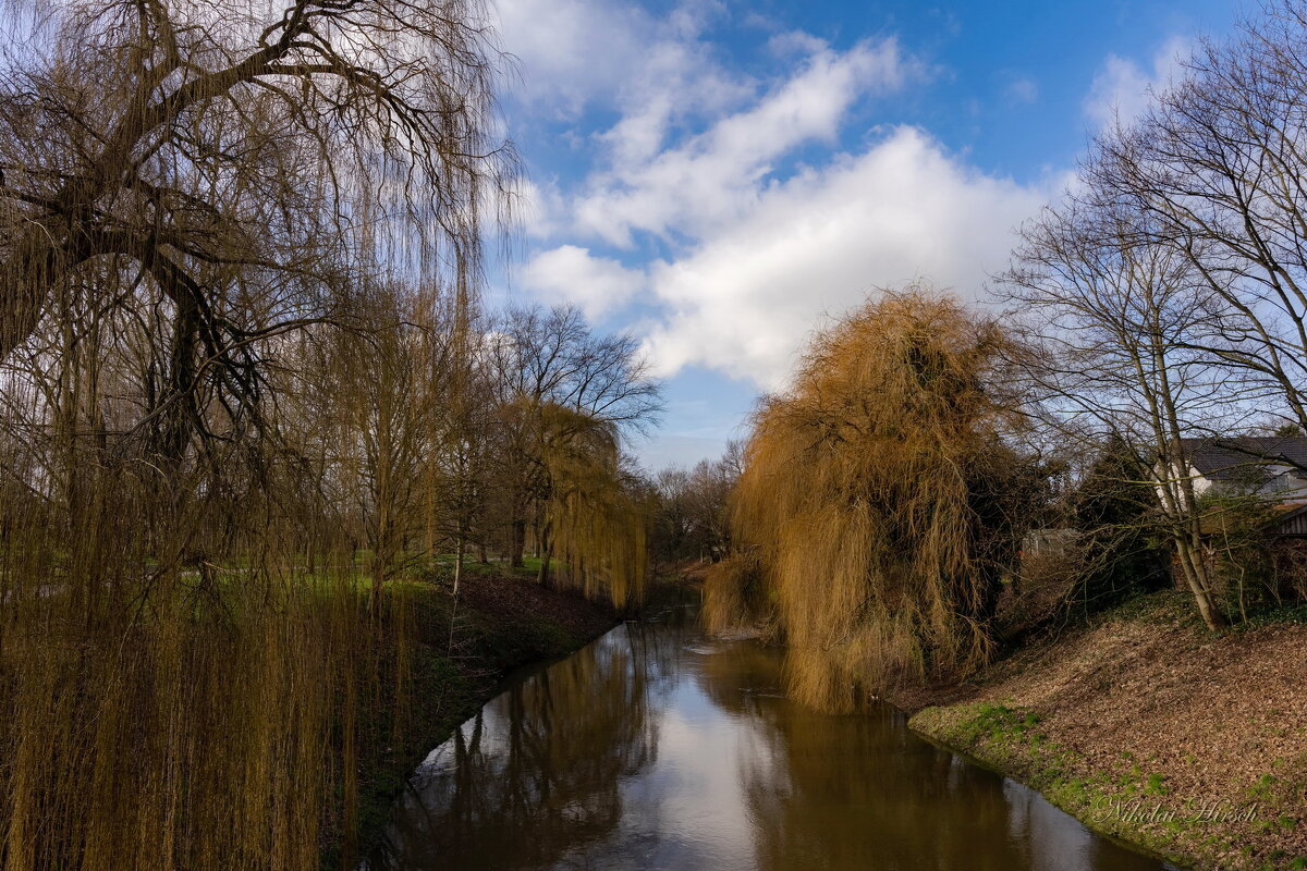 Между ив... - Николай Гирш Между ив... - Николай Гирш