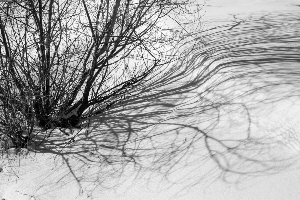 Мартовске тени. - Сергей Татаринов