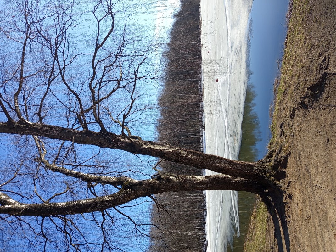 Еще недопоказанное в марте - Андрей Лукьянов