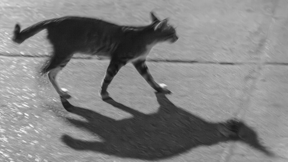 ... - Жора Житников ... - Жора Житников