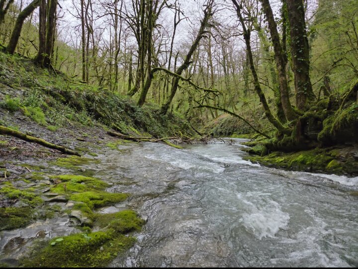 Река Бешенка - Tata Wolf