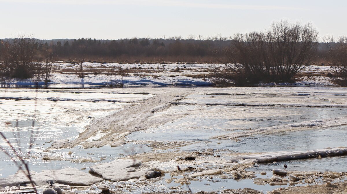 Весна пришла - Любовь Сахарова