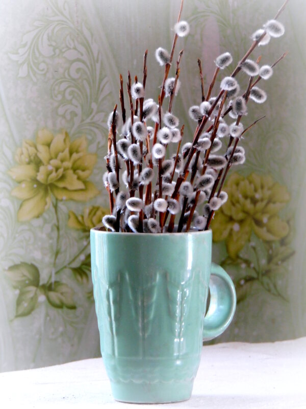 Вербочка. - nadyasilyuk Вознюк