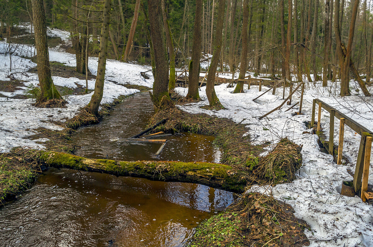 Апрельский ручей - Сергей Цветков