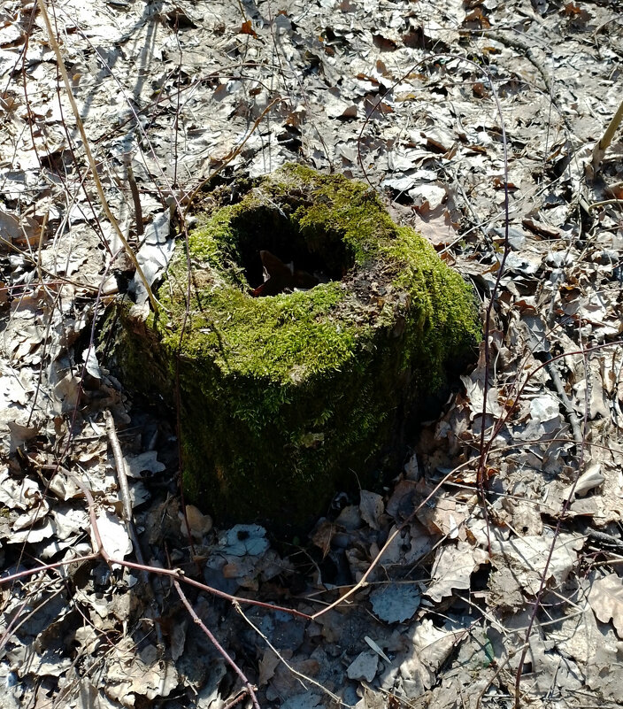 *** - Валентина Береснева