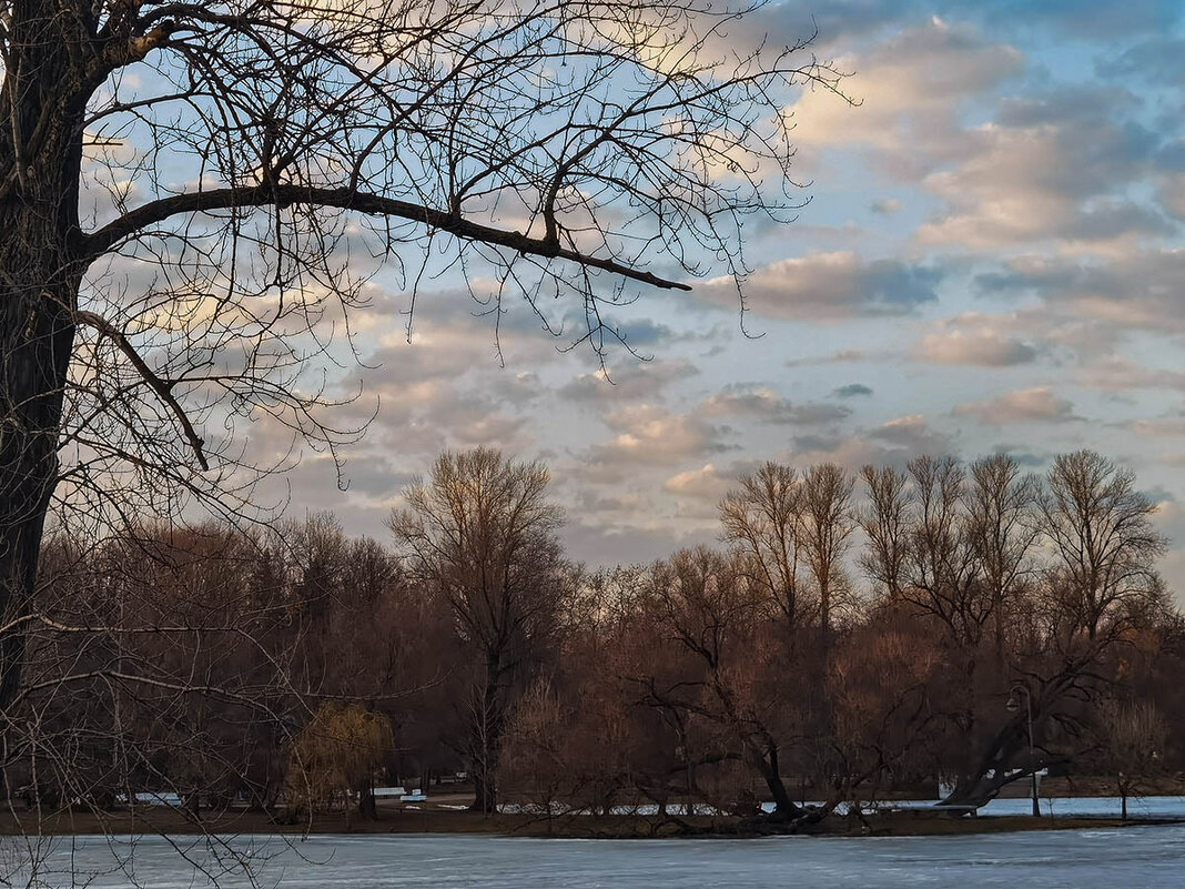 Весенние зарисовки в парке Победы. - Лилия *