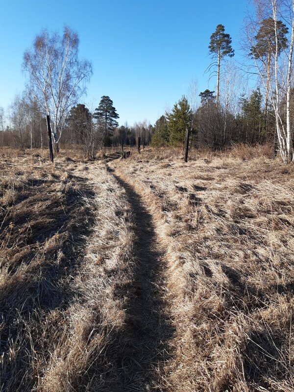 Весна идёт, весне дорогу... - Галина Минчук Весна идёт, весне дорогу... - Галина Минчук