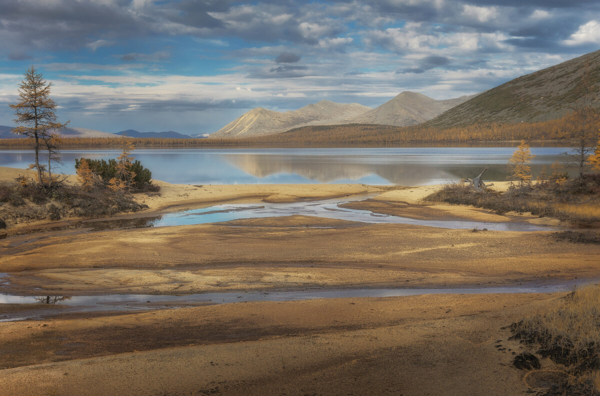 Посреди песчаных дюн - Дмитрий Шишкин