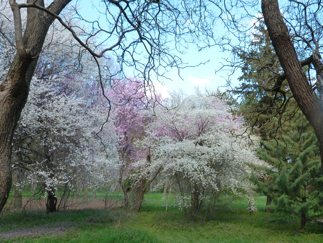 Весенний пейзаж - Валентин Семчишин Весенний пейзаж - Валентин Семчишин