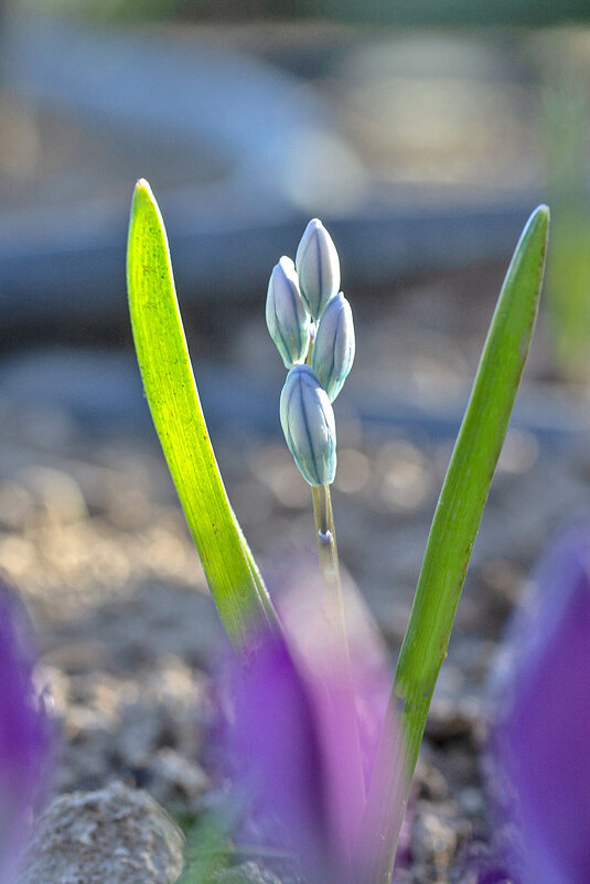 Весенний этюд - Александр Трухин