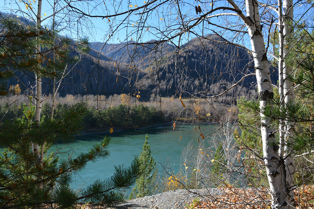 Катунь - Валерий Медведев Катунь - Валерий Медведев
