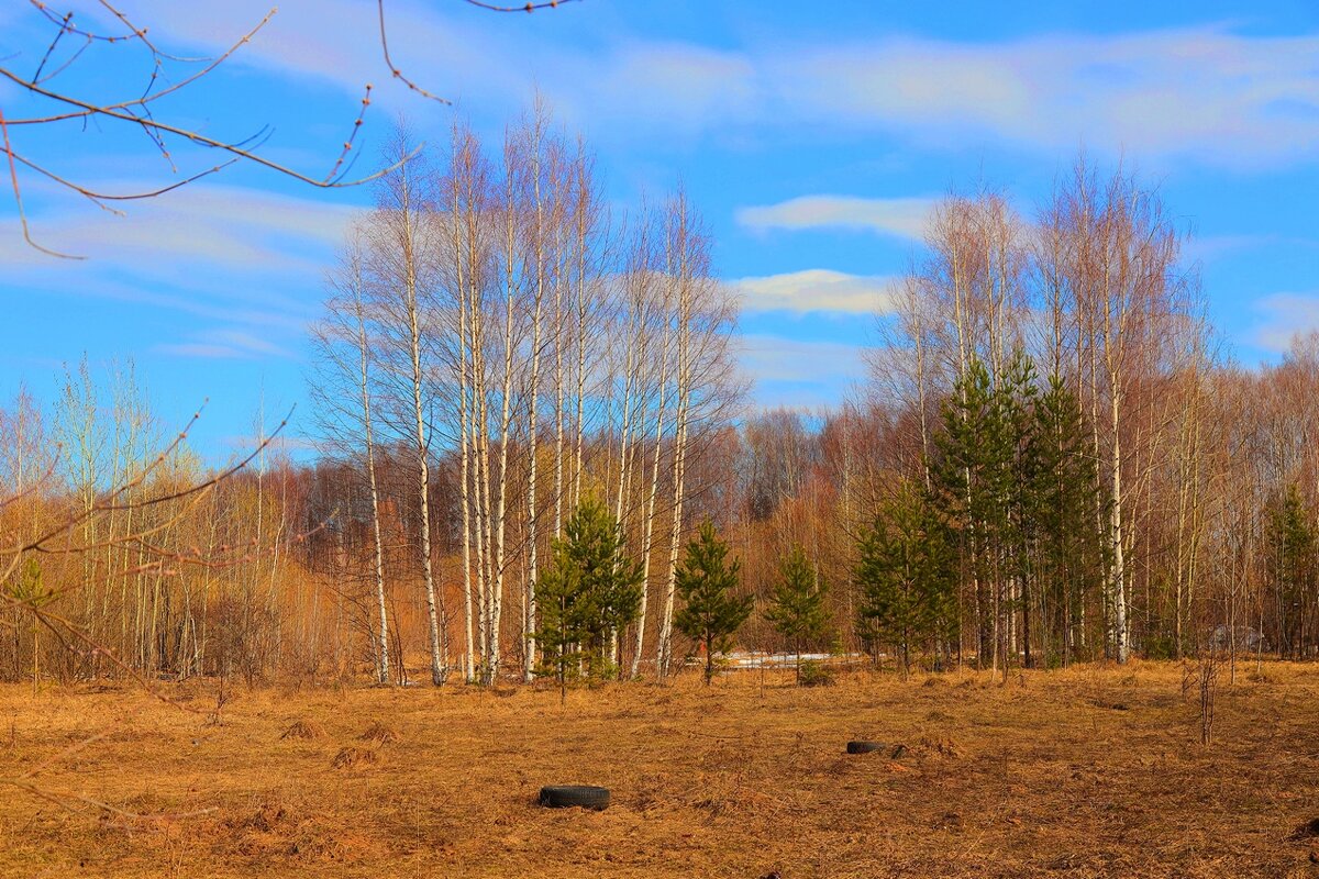 ... - Владимир иванов