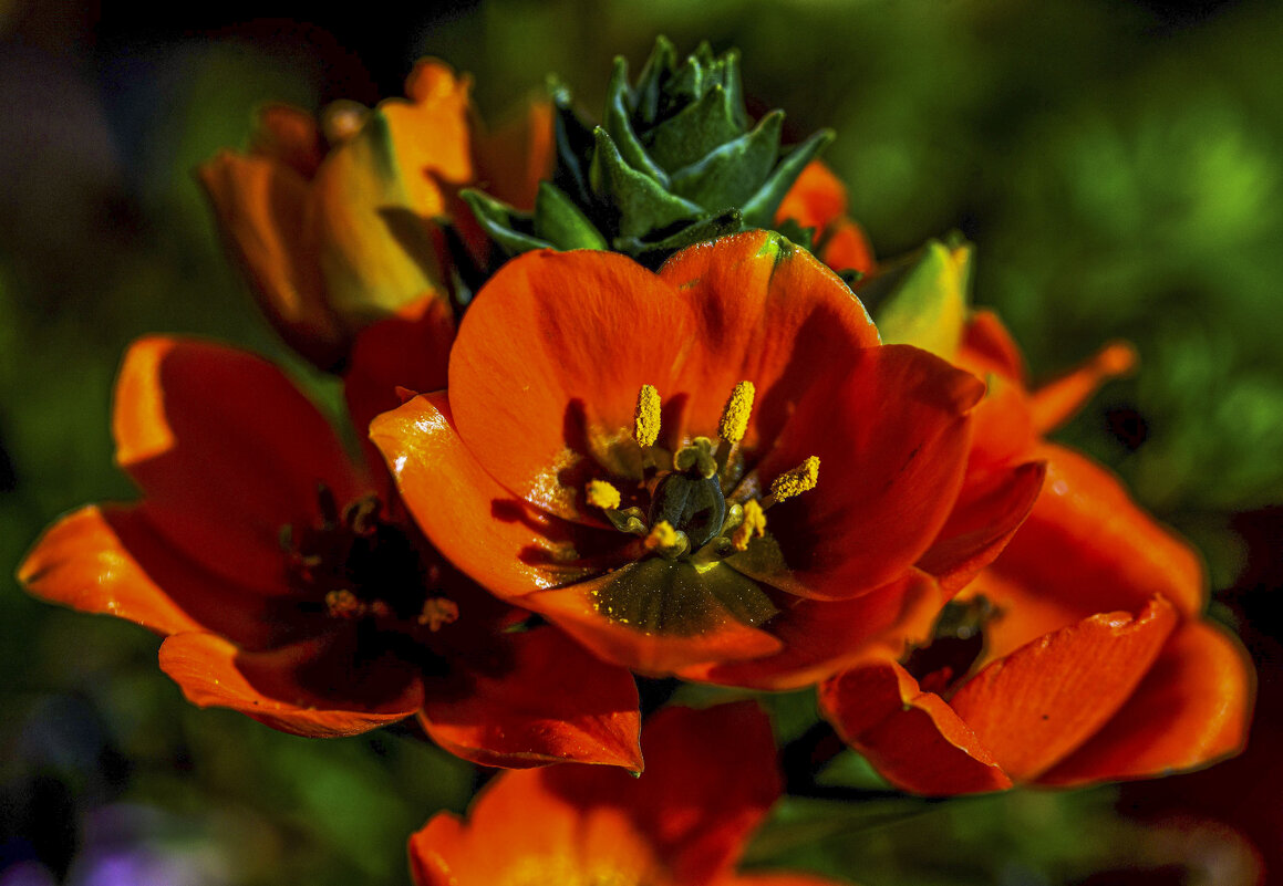 * - Осень * - Осень