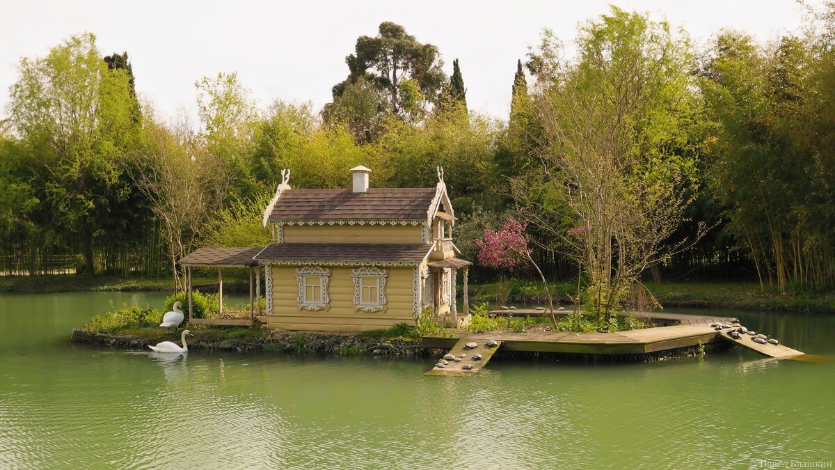 Где лебеди живут - Pavel Blashkin Где лебеди живут - Pavel Blashkin