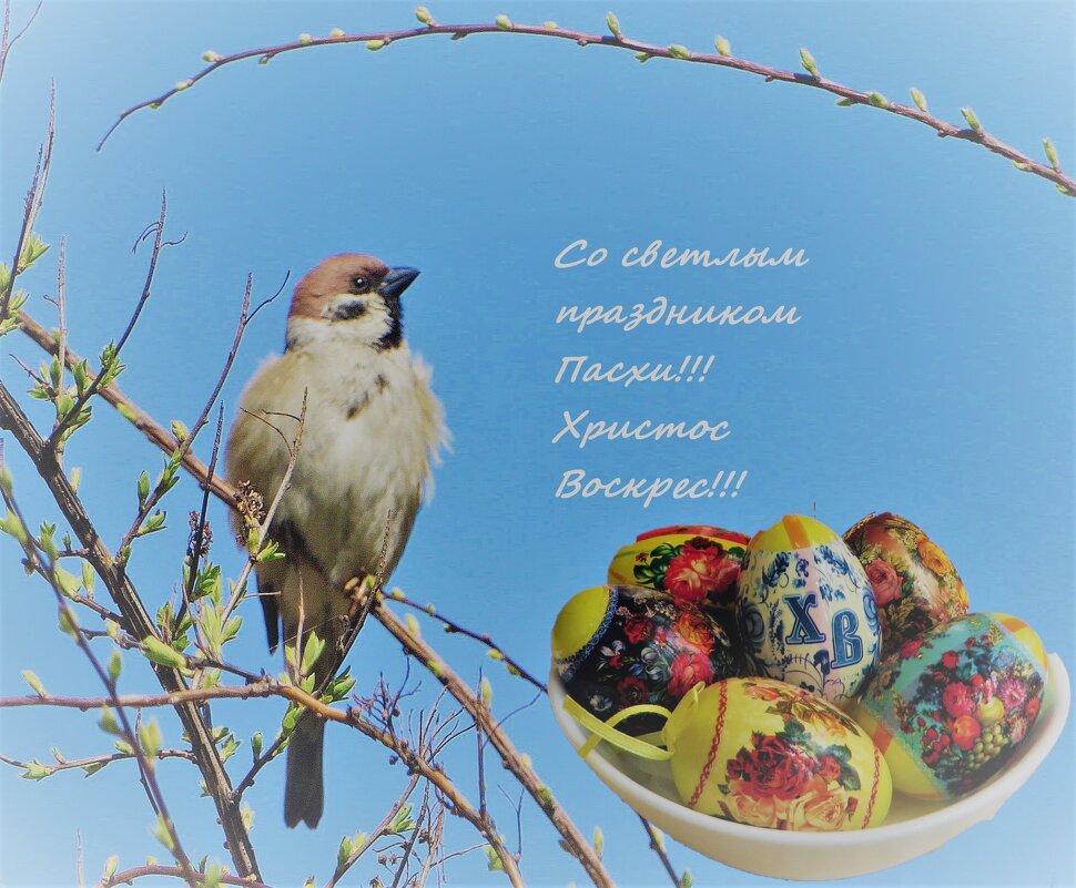 Со светлым праздником Пасхи!!! - Ирина Олехнович Со светлым праздником Пасхи!!! - Ирина Олехнович