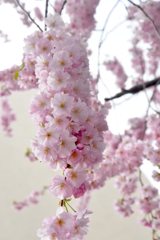 лейпциг2026 - Алексей Короткевич