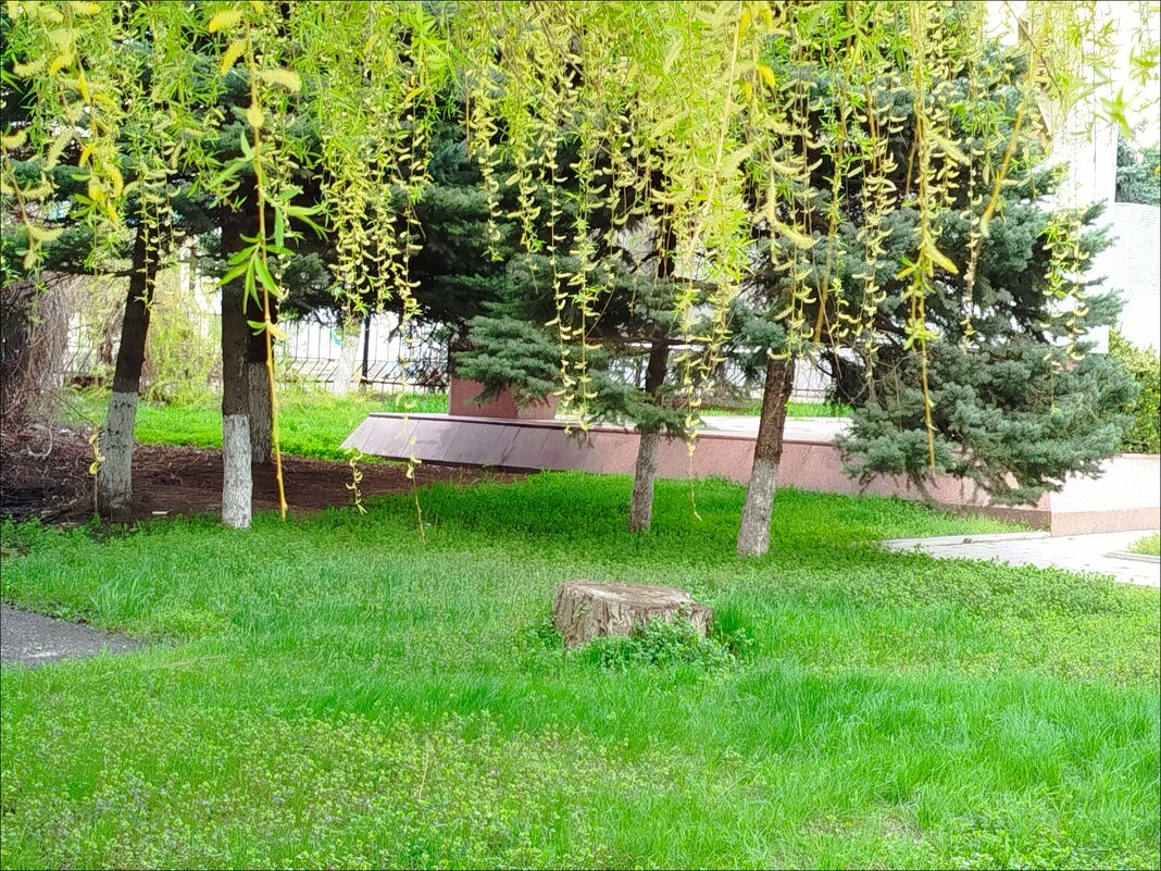 Начало! - Надежда 