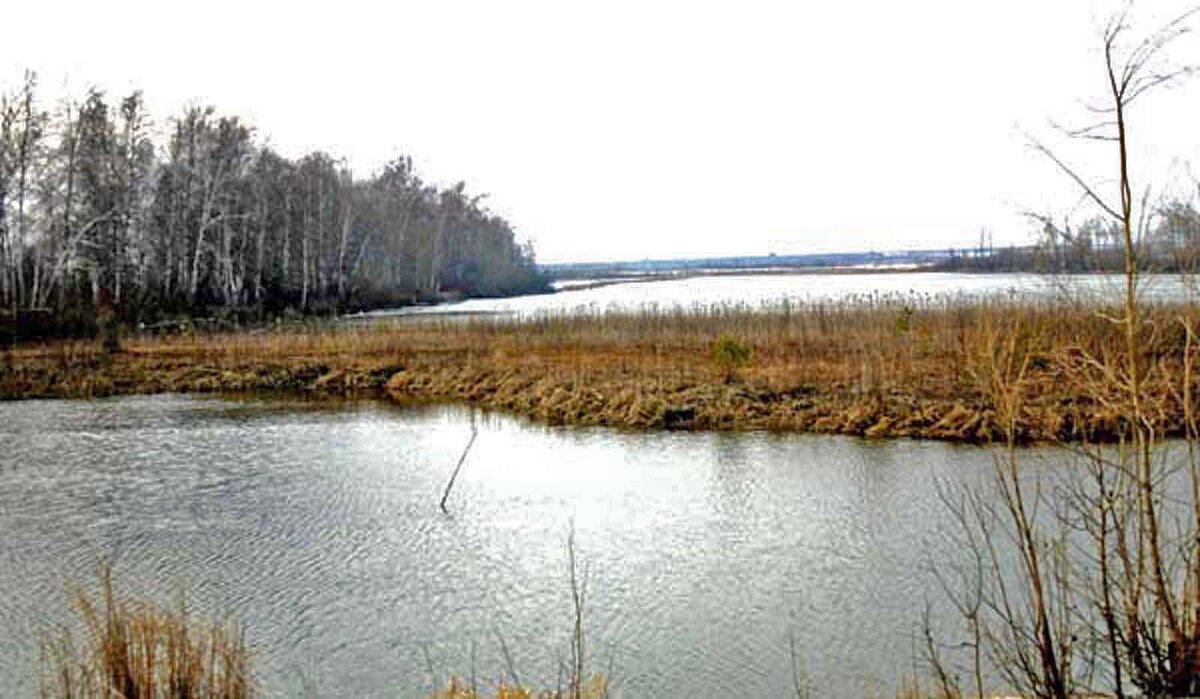 У поселка Юганская Обь- разлив реки! - Владимир 