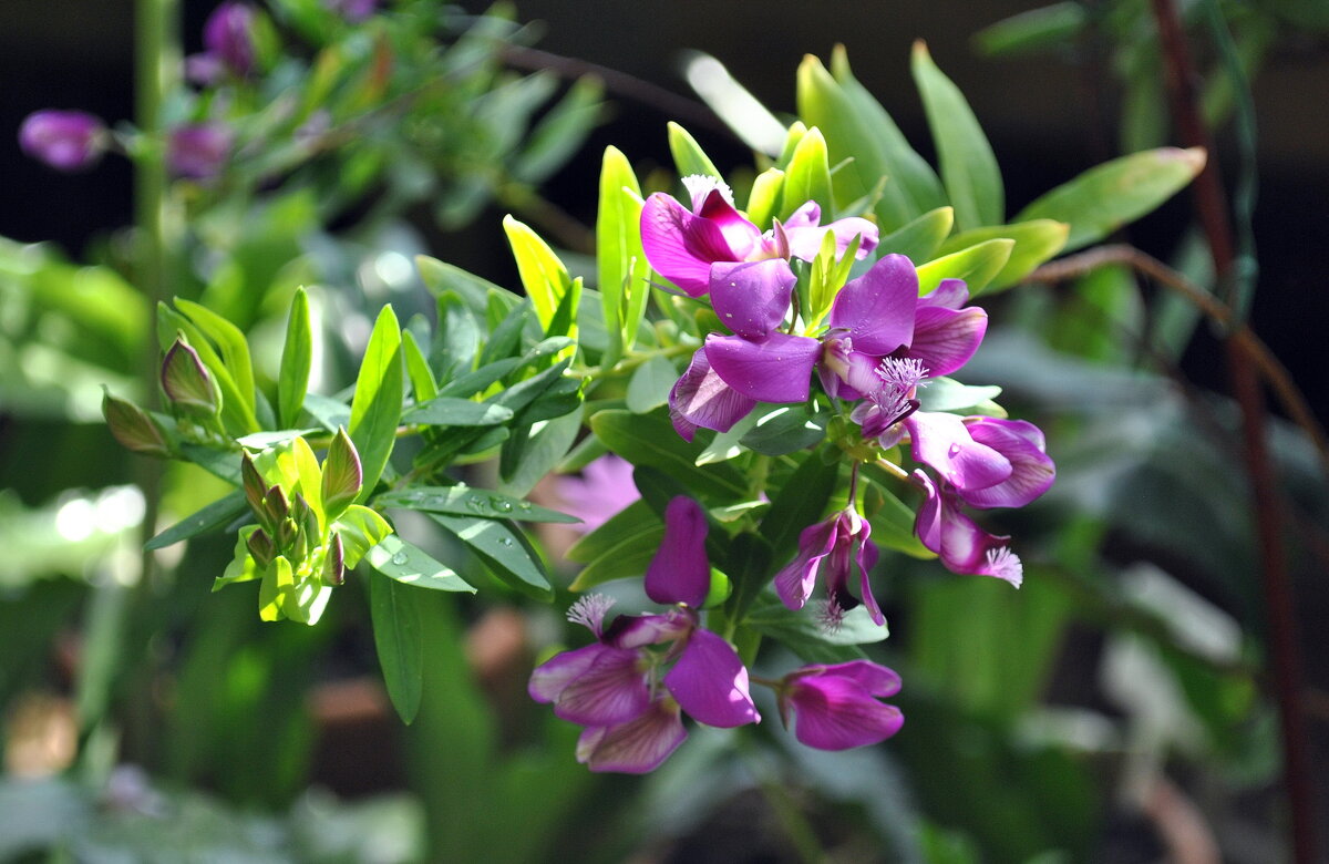 Про жизнь - AleksSPb Лесниченко