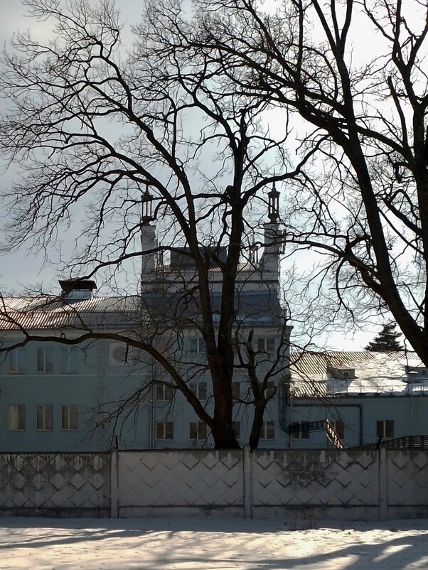 *** - Валентина Береснева