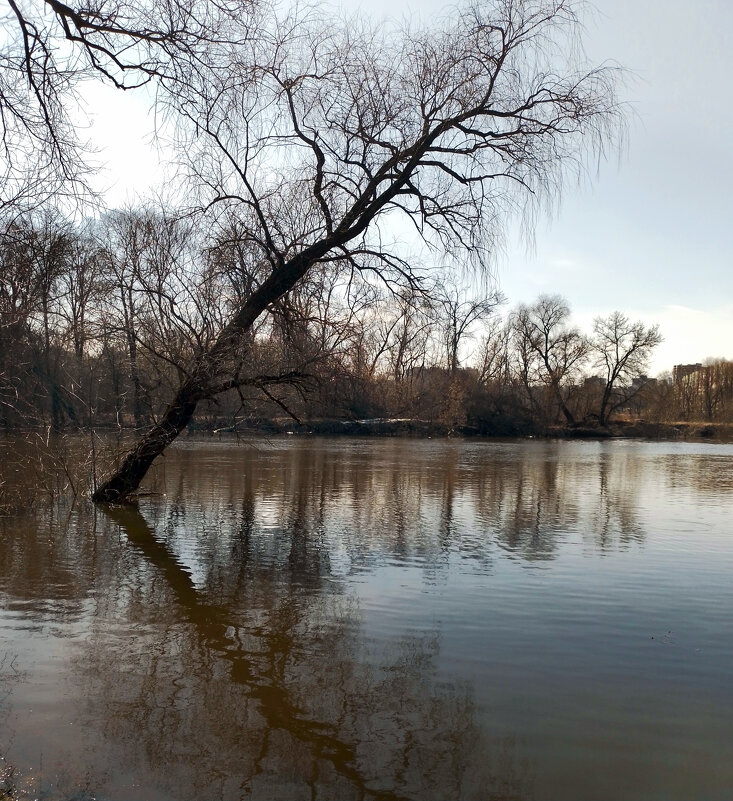 *** - Валентина Береснева