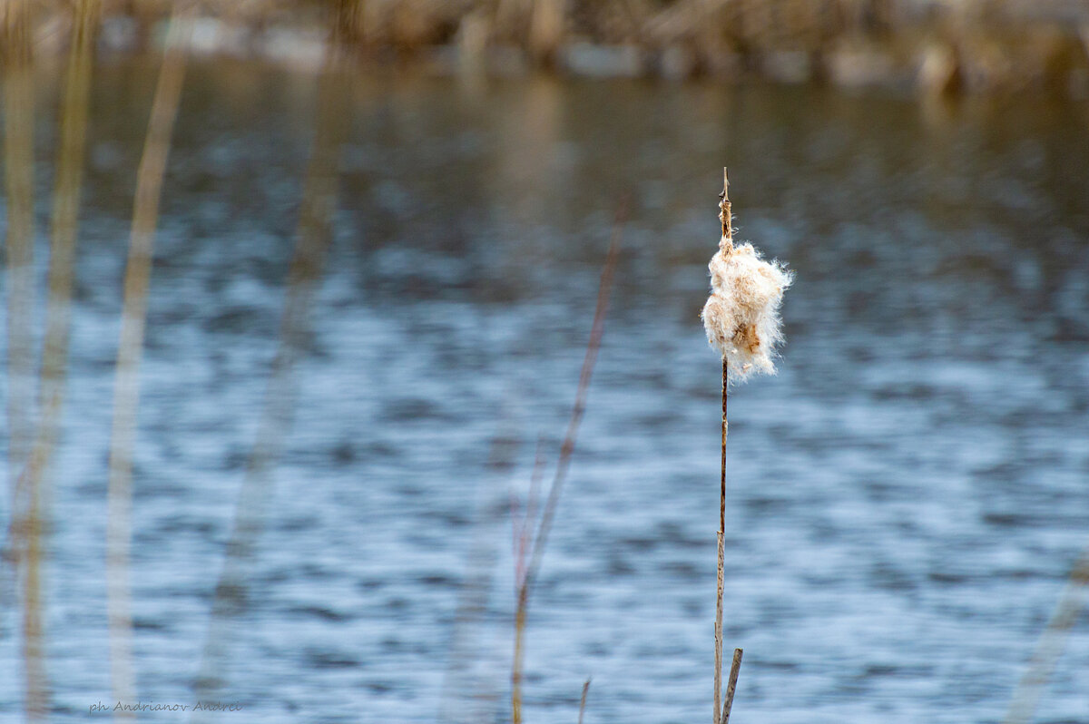 *** - Андрей Андрианов