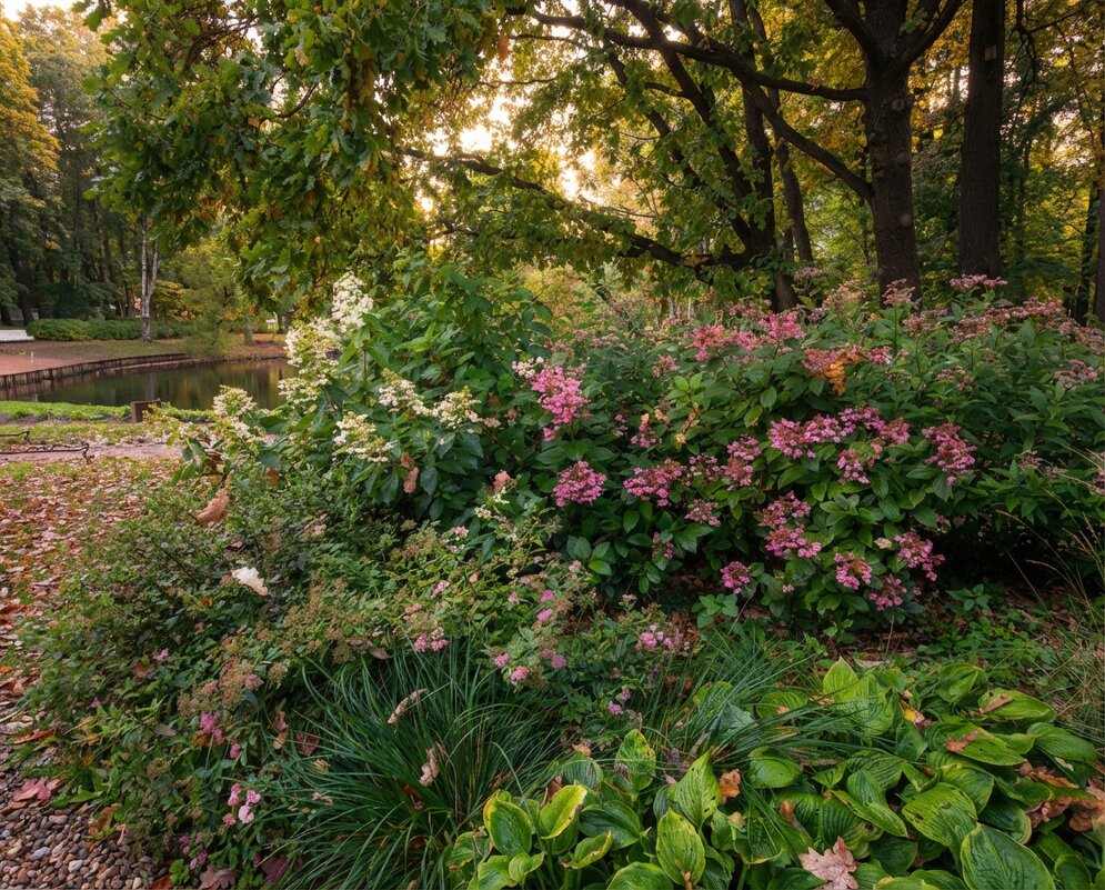 цветущий куст в парке - Лилия 