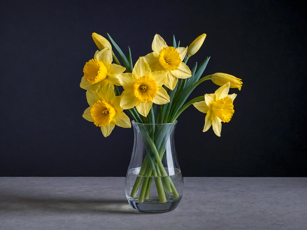 Нарцисы жёлтые - Aleksey Afonin