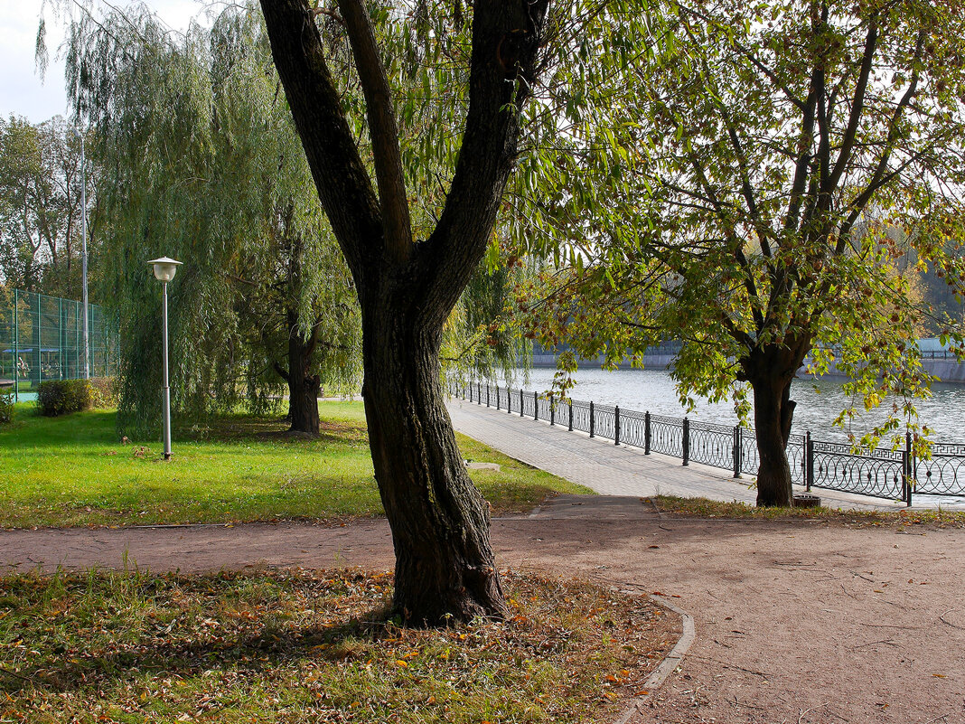 Большой Графский пруд - Игорь Белоногов Большой Графский пруд - Игорь Белоногов