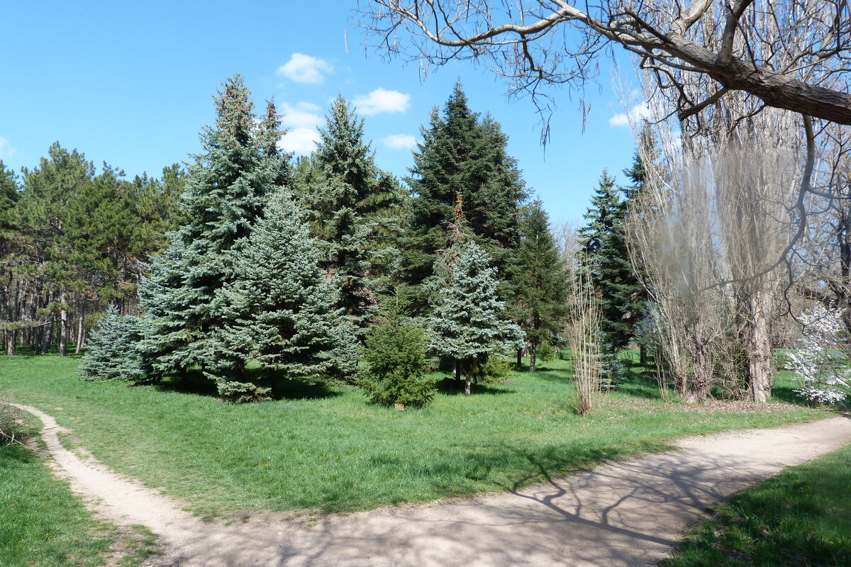 Весенний пейзаж - Валентин Семчишин Весенний пейзаж - Валентин Семчишин