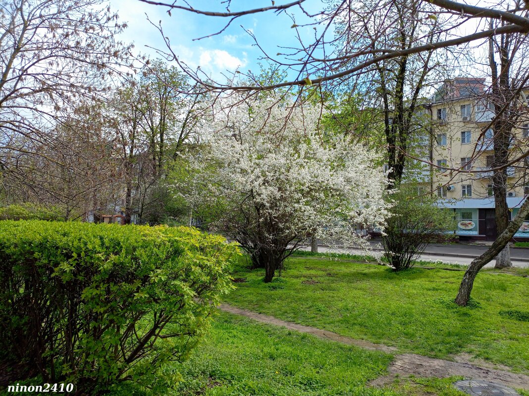 Ростовская весна - Нина Бутко Ростовская весна - Нина Бутко