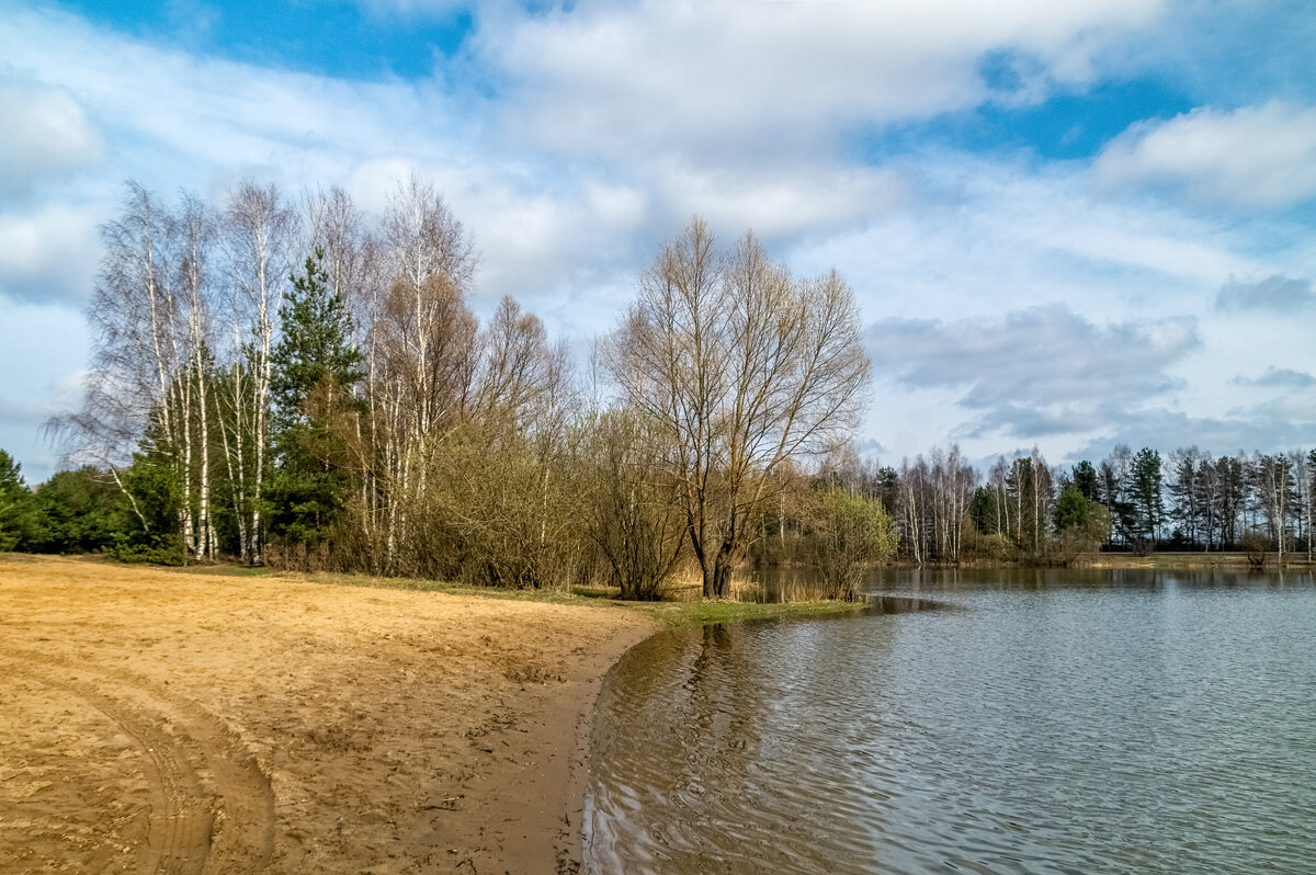 Весенняя прогулка. - Андрей Дворников Весенняя прогулка. - Андрей Дворников