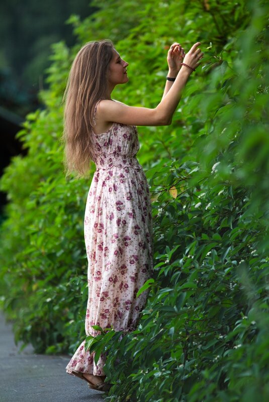 * - Евгений Ваулин