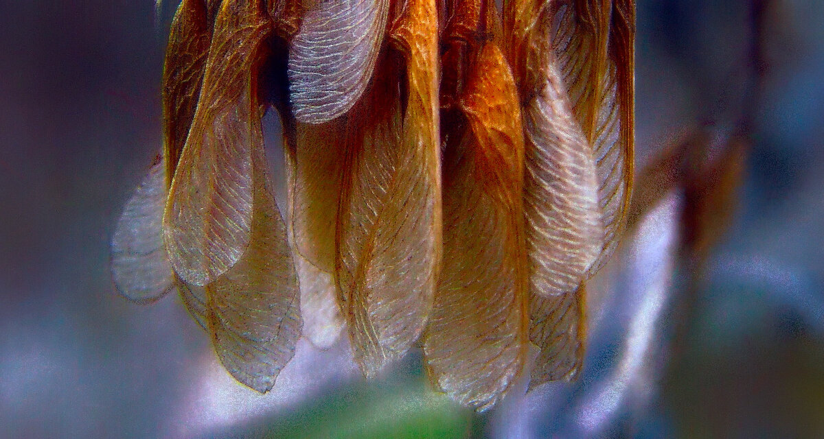 ... - Alex ... - Alex