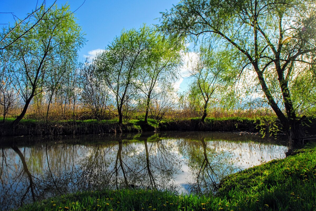 Апрель. - Владимир 