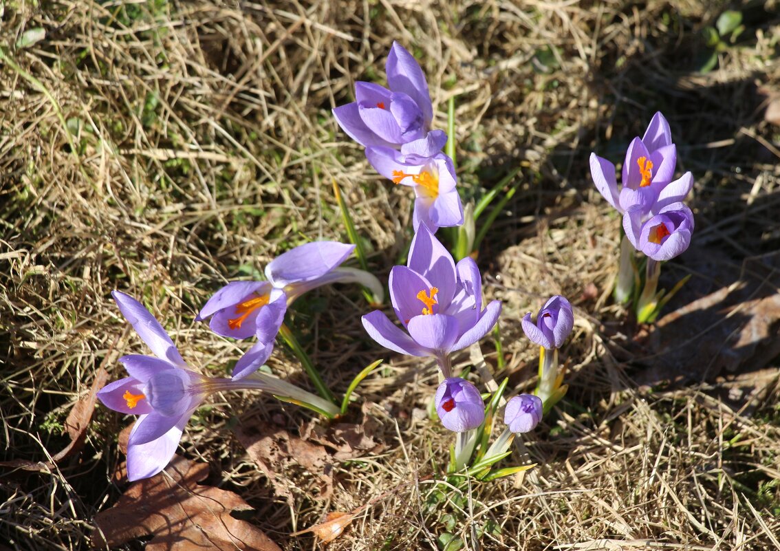 Моменты весны - Наталья Герасимова