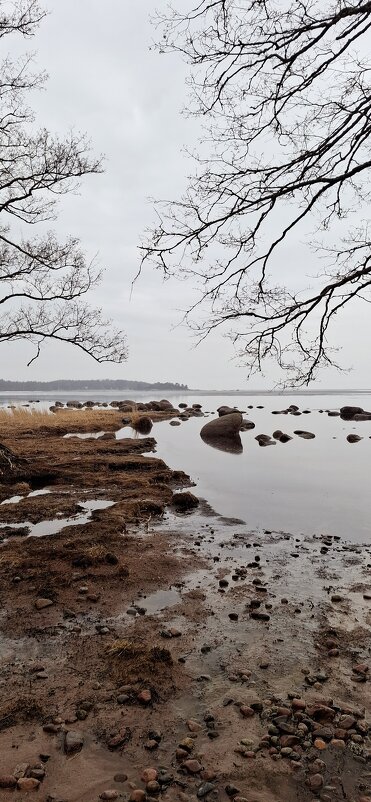 Ранняя весна - Хватова Марина 