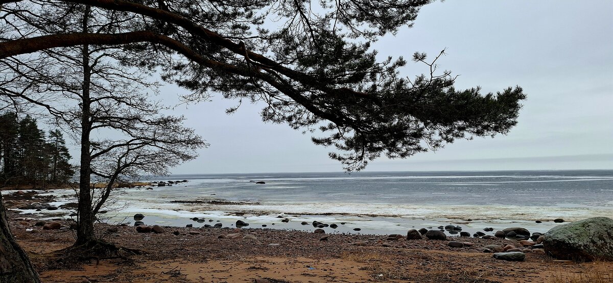 Весенний пейзаж - Хватова Марина 