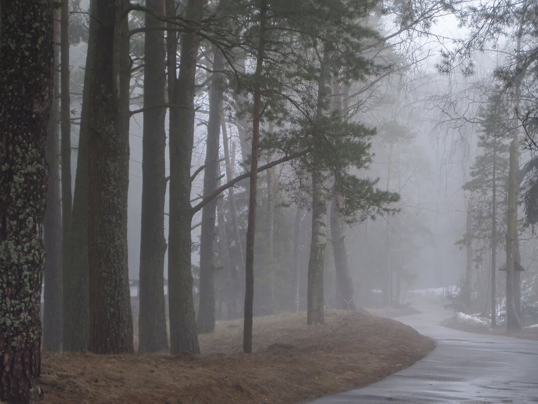 Туманное утро...... - Юрий Цыплятников