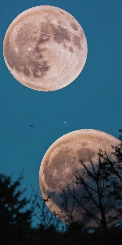 Moons - Ильич -