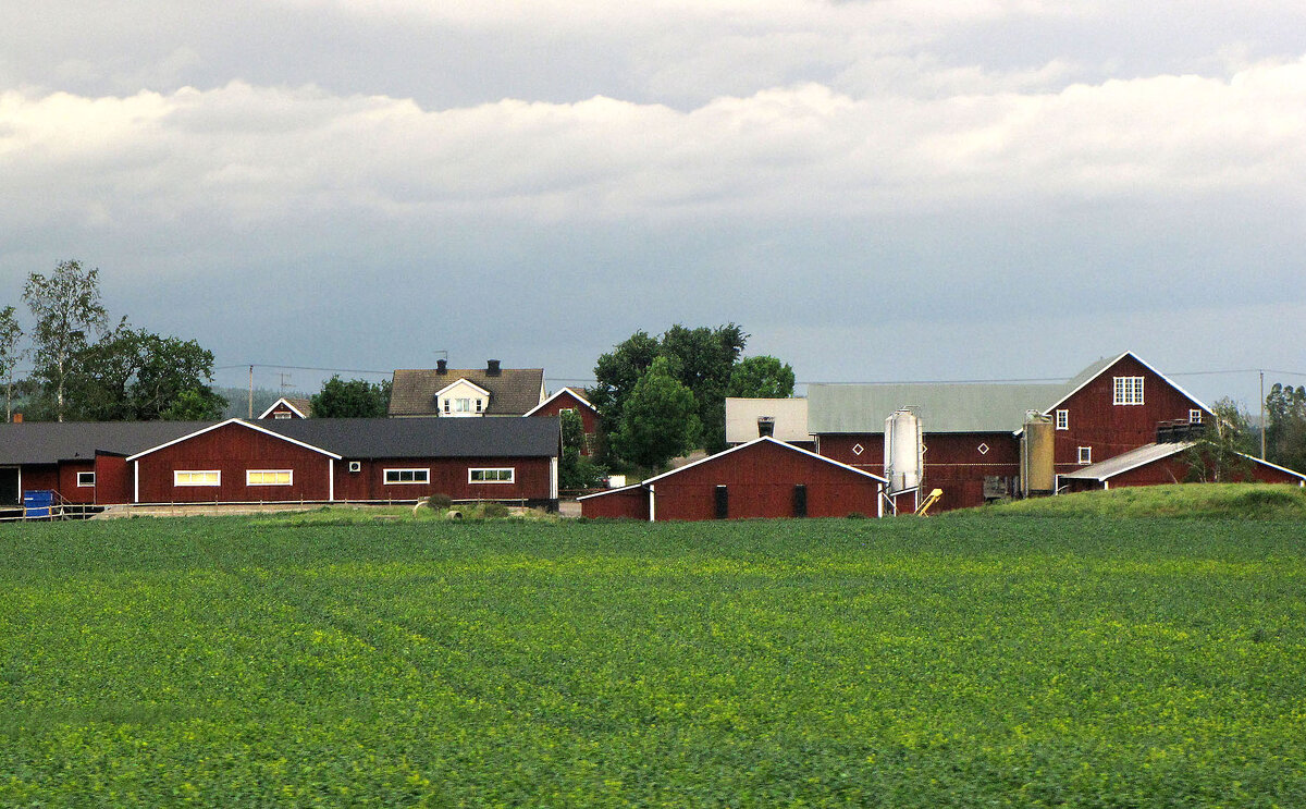 Ферма Тельестад (Täljestad) - Александр Ильчевский Ферма Тельестад (Täljestad) - Александр Ильчевский