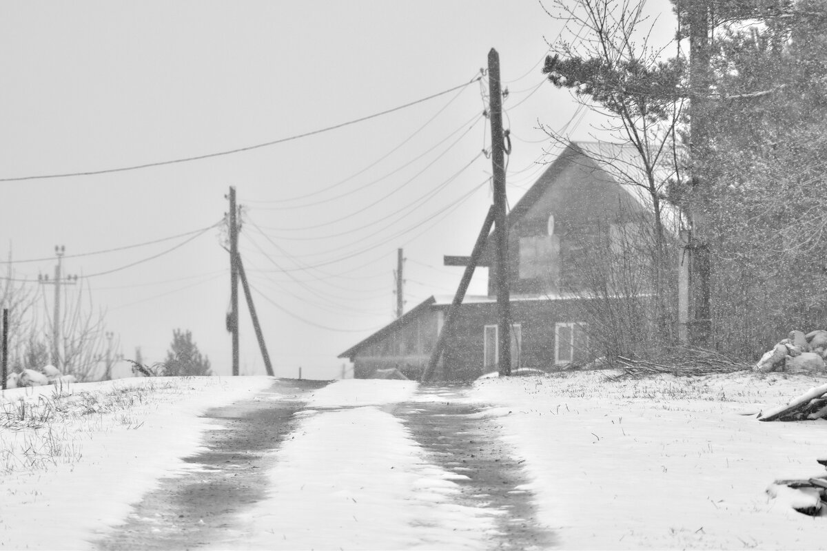 Шуточки апреля - Роман Пацкевич