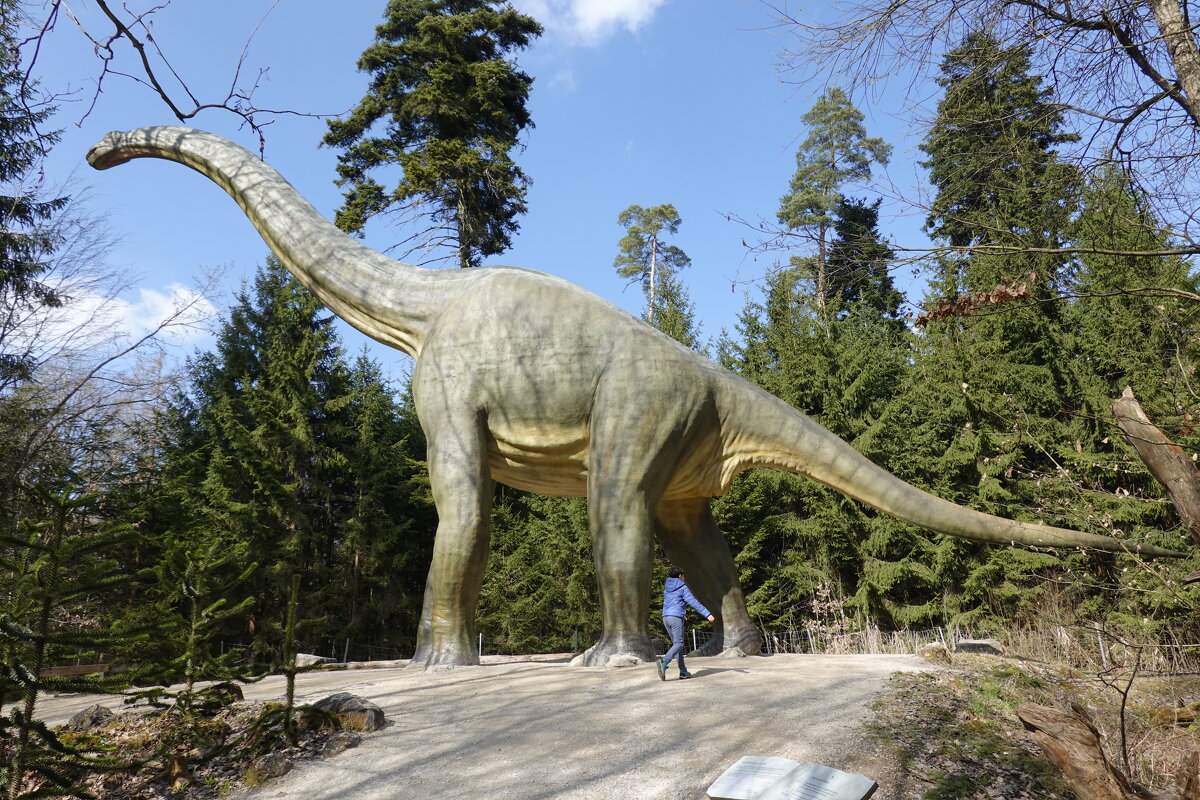 Динопарк в лесу, Ингольштадт, Германия - Галина 