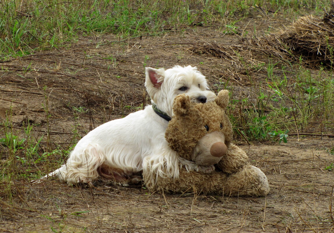 Друзья - ИРЭН@ . Друзья - ИРЭН@ .