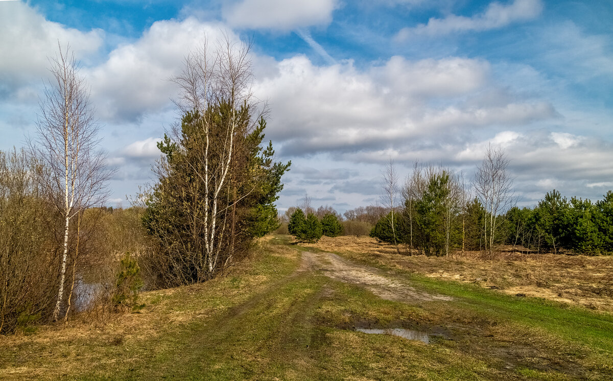 Весенняя прогулка 2. - Андрей Дворников