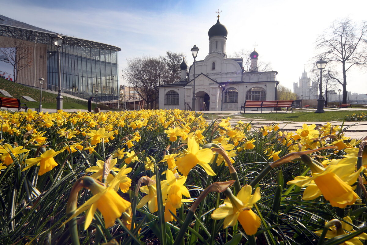 Зарядье 13 апреля - Михаил Бибичков