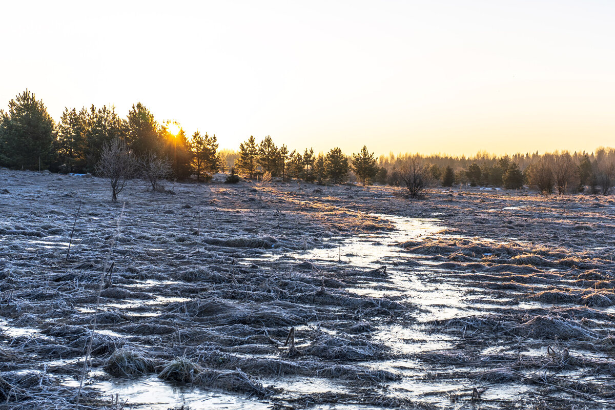 Весеннее утро.Заморозок. - Сергей Ц