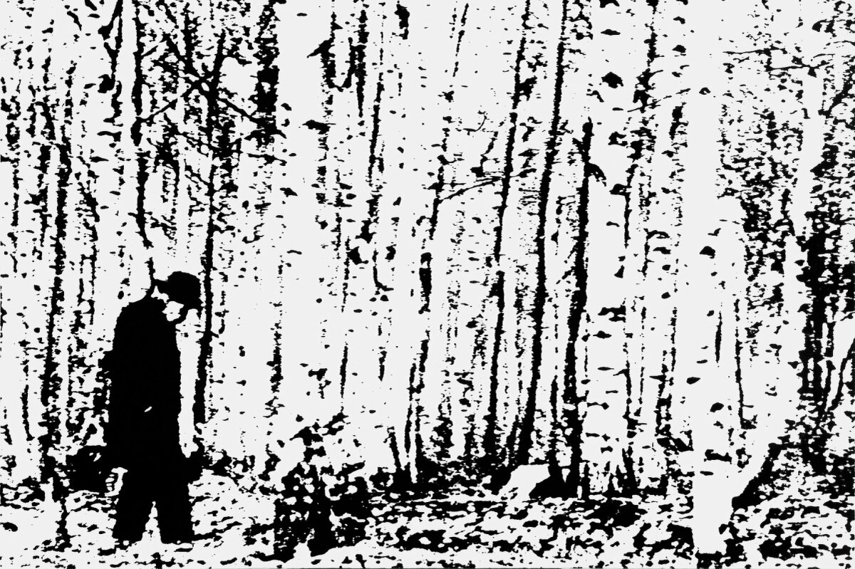 ФОТОГРАФИКА Берёзы - Алексей Кузнецов